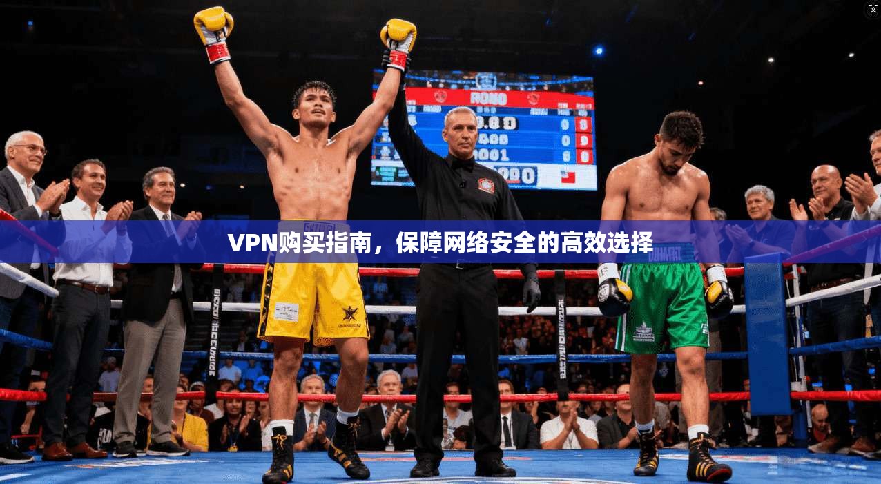 VPN购买指南,保障网络安全的高效选择