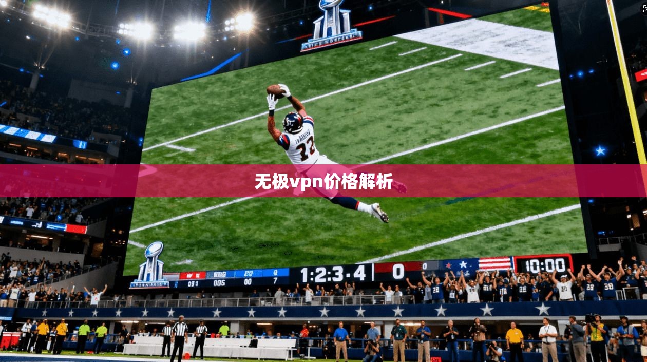 无极vpn价格解析