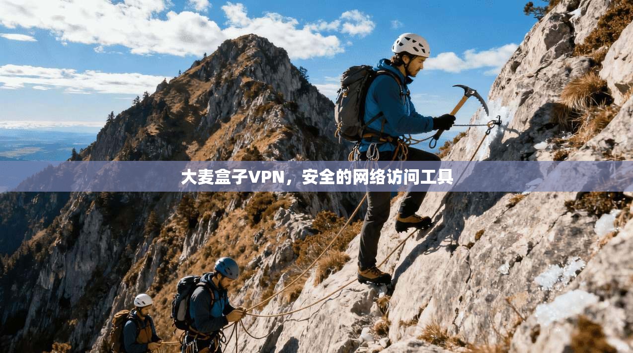 大麦盒子VPN，安全的网络访问工具