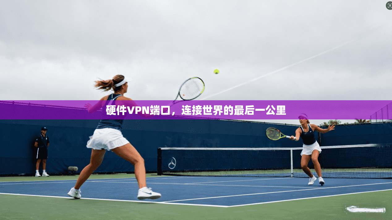 硬件VPN端口，连接世界的最后一公里