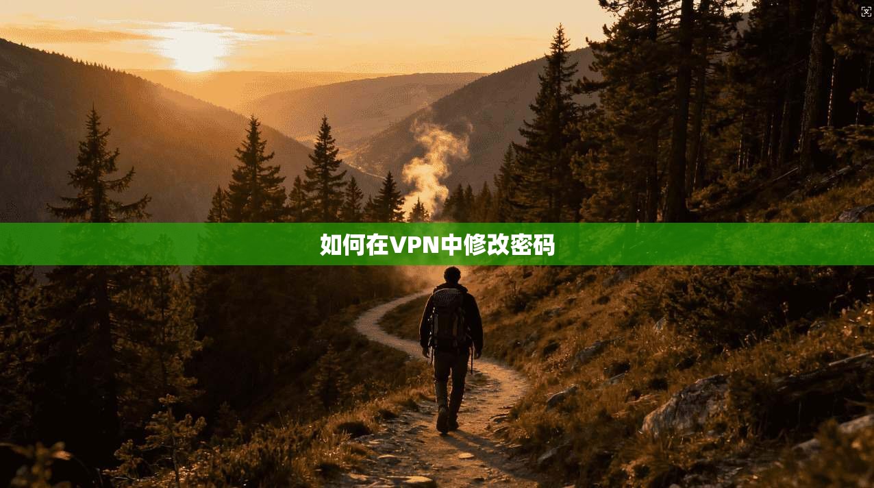 如何在VPN中修改密码