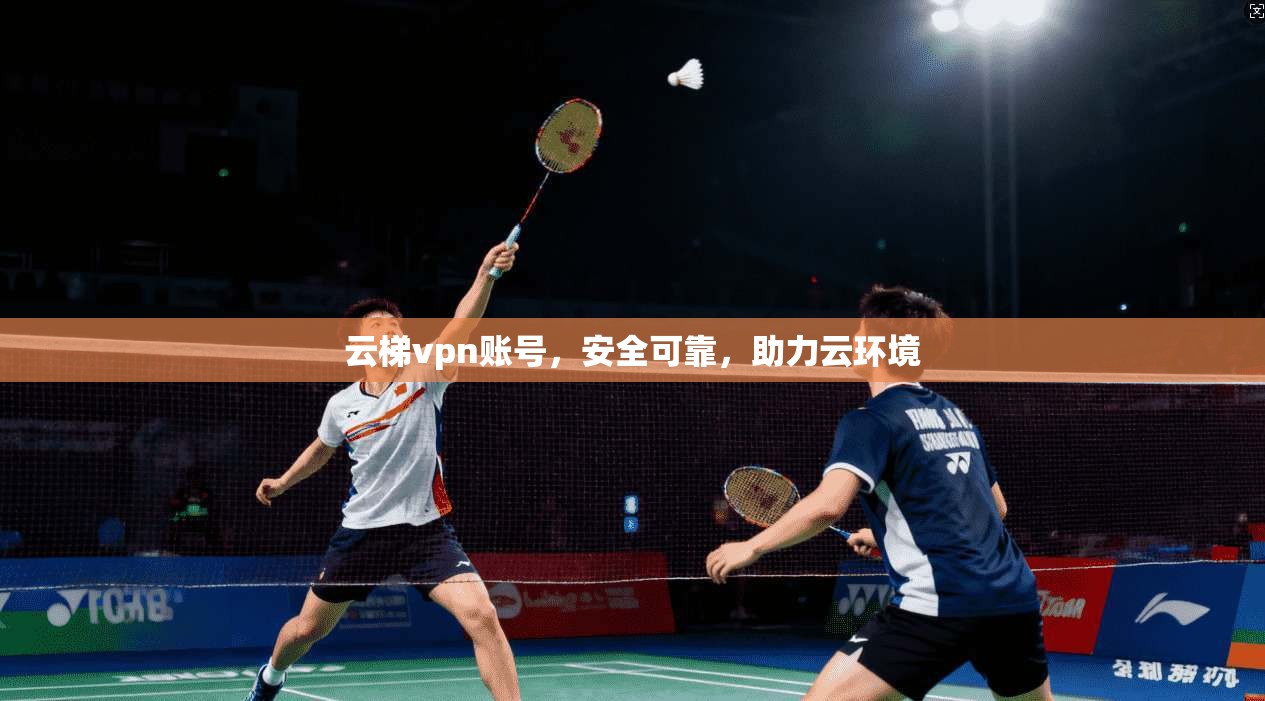 云梯vpn账号，安全可靠，助力云环境