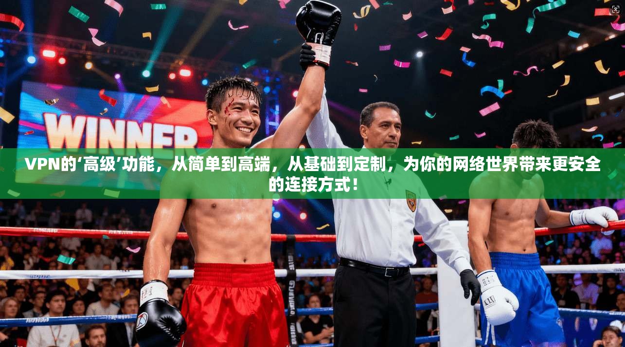 VPN的‘高级’功能,从简单到高端,从基础到定制,为你的网络世界带来更安全的连接方式!