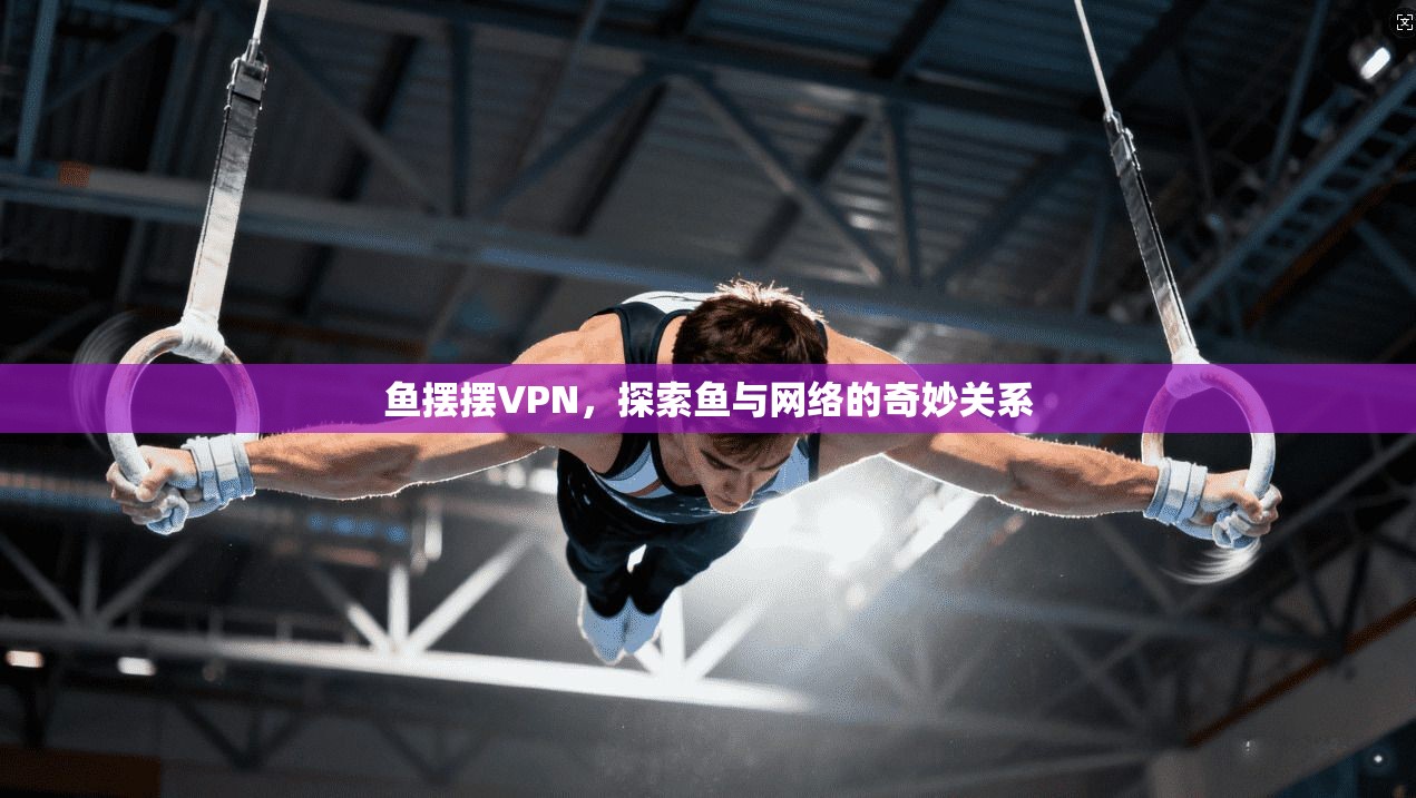 鱼摆摆VPN,探索鱼与网络的奇妙关系