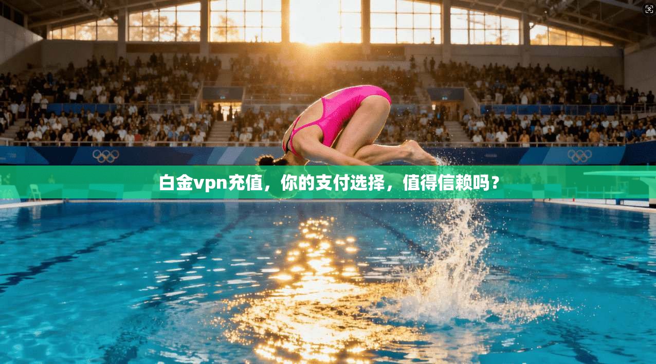 白金vpn充值,你的支付选择,值得信赖吗?