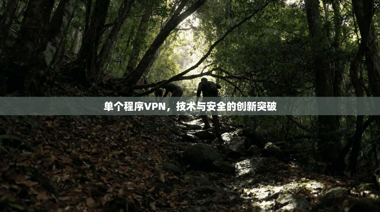 单个程序VPN，技术与安全的创新突破