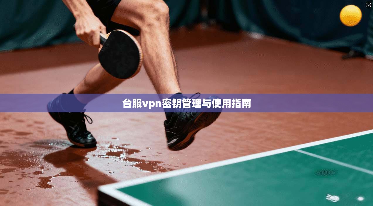台服vpn密钥管理与使用指南