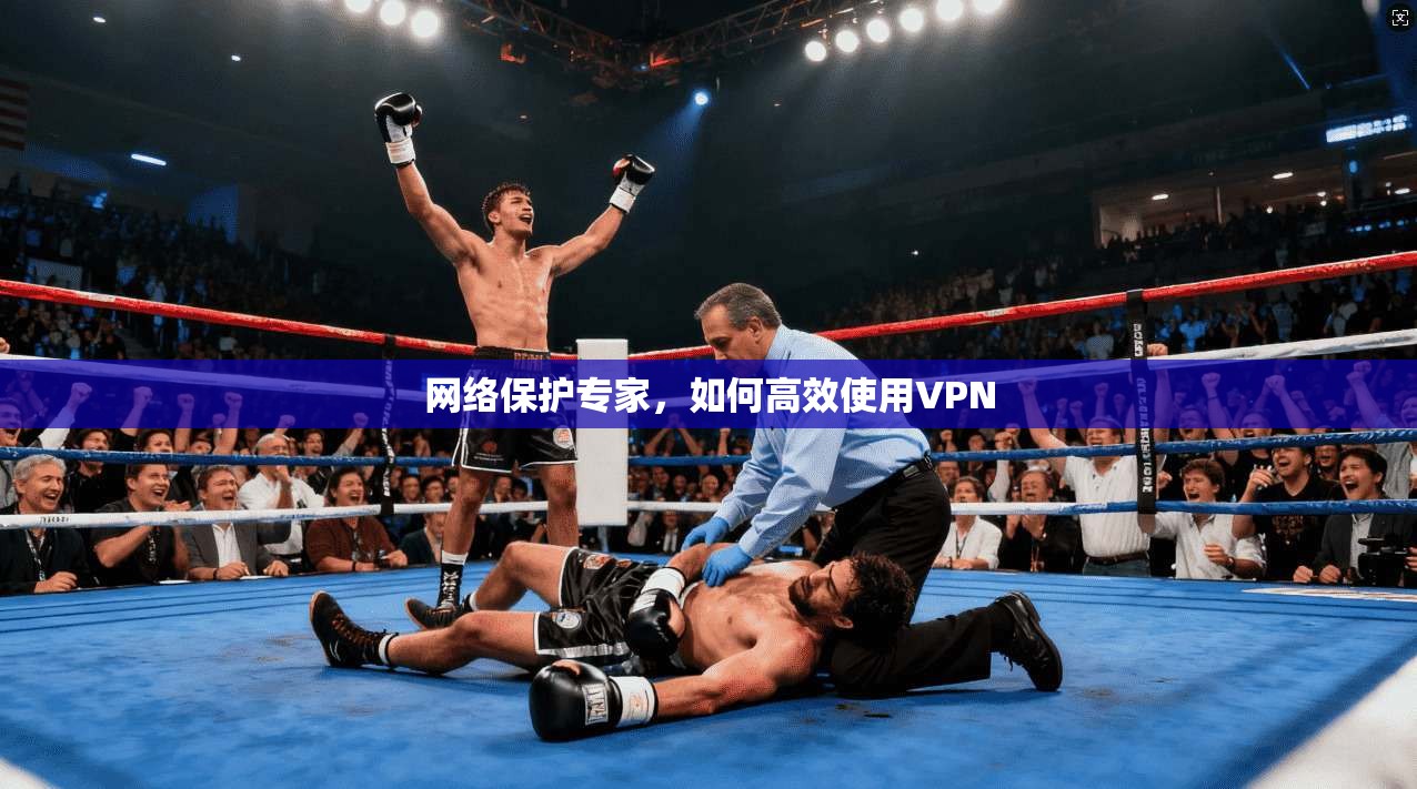 网络保护专家，如何高效使用VPN