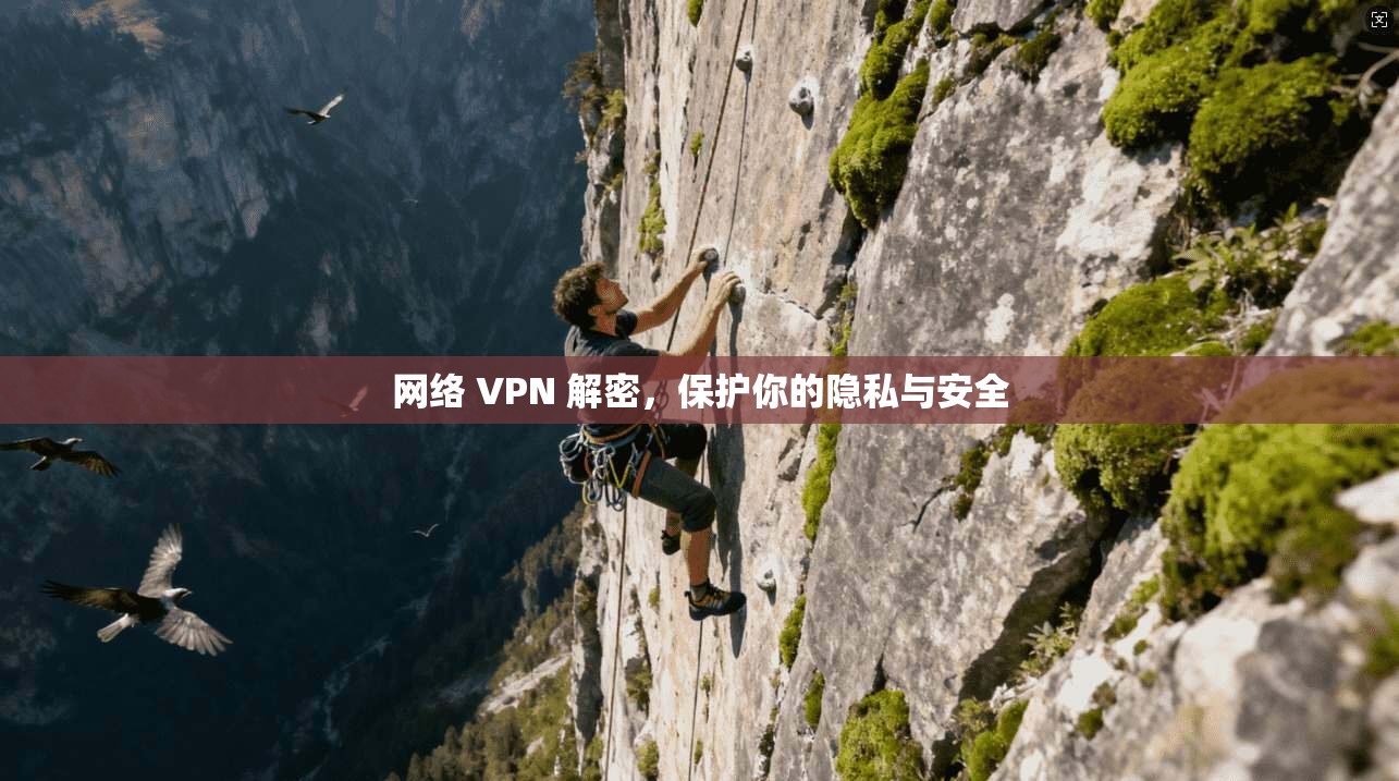 网络 VPN 解密，保护你的隐私与安全