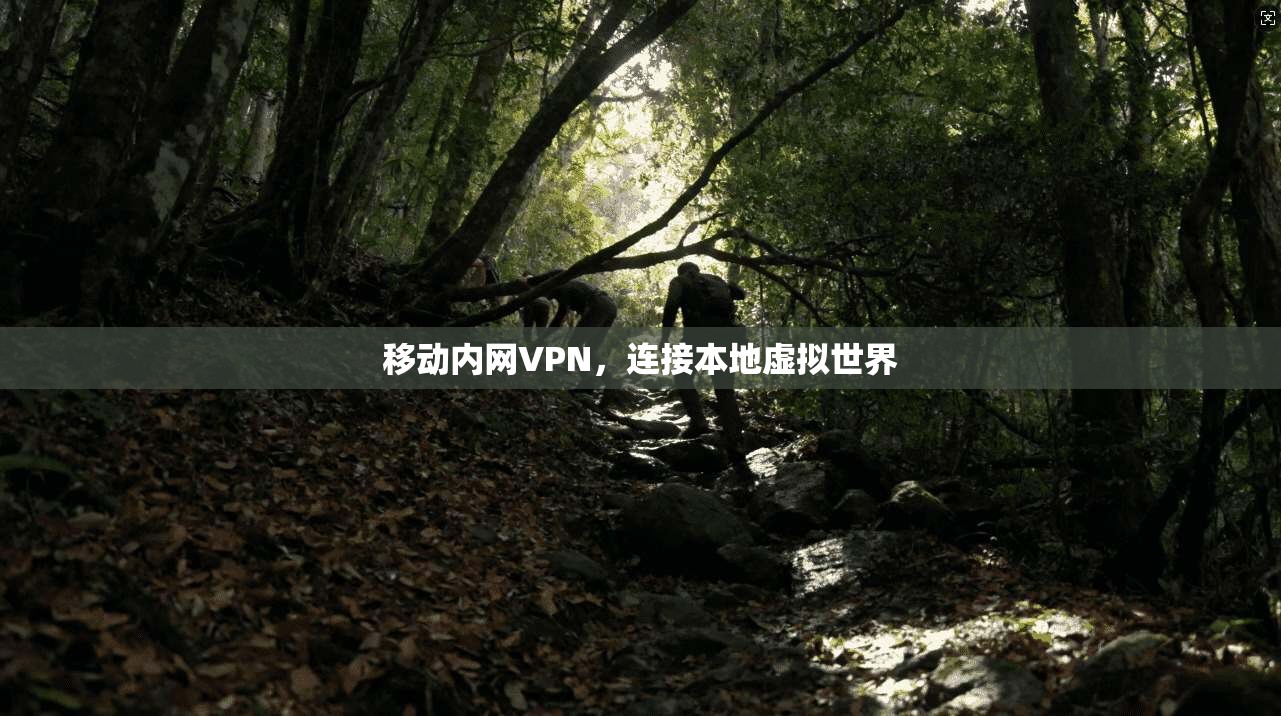移动内网VPN，连接本地虚拟世界