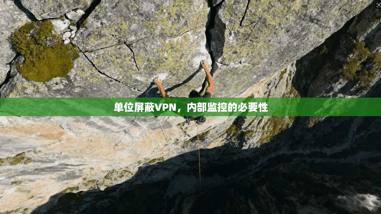 单位屏蔽VPN，内部监控的必要性