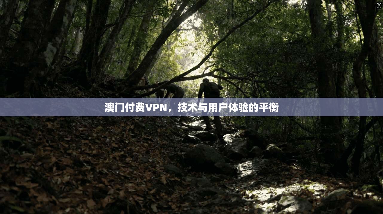澳门付费VPN，技术与用户体验的平衡