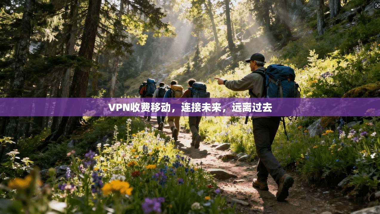 VPN收费移动，连接未来，远离过去