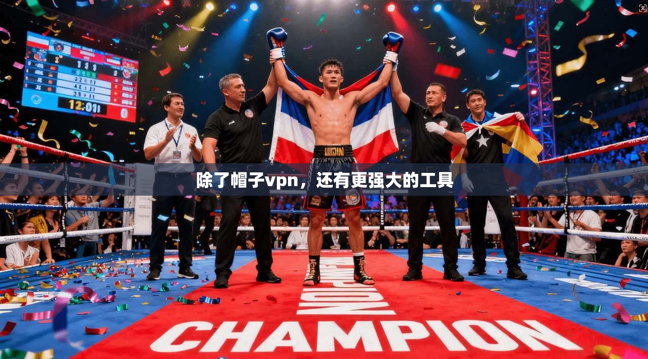 除了帽子vpn，还有更强大的工具
