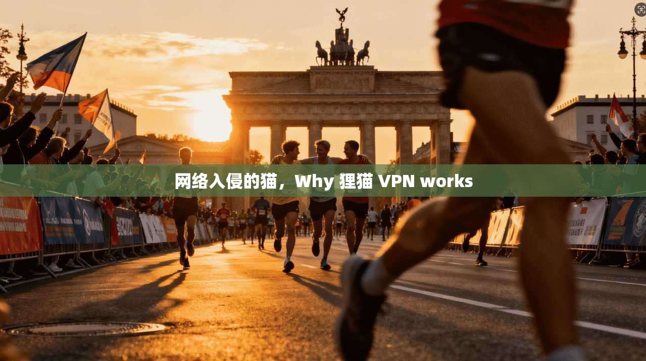 网络入侵的猫，Why 狸猫 VPN works