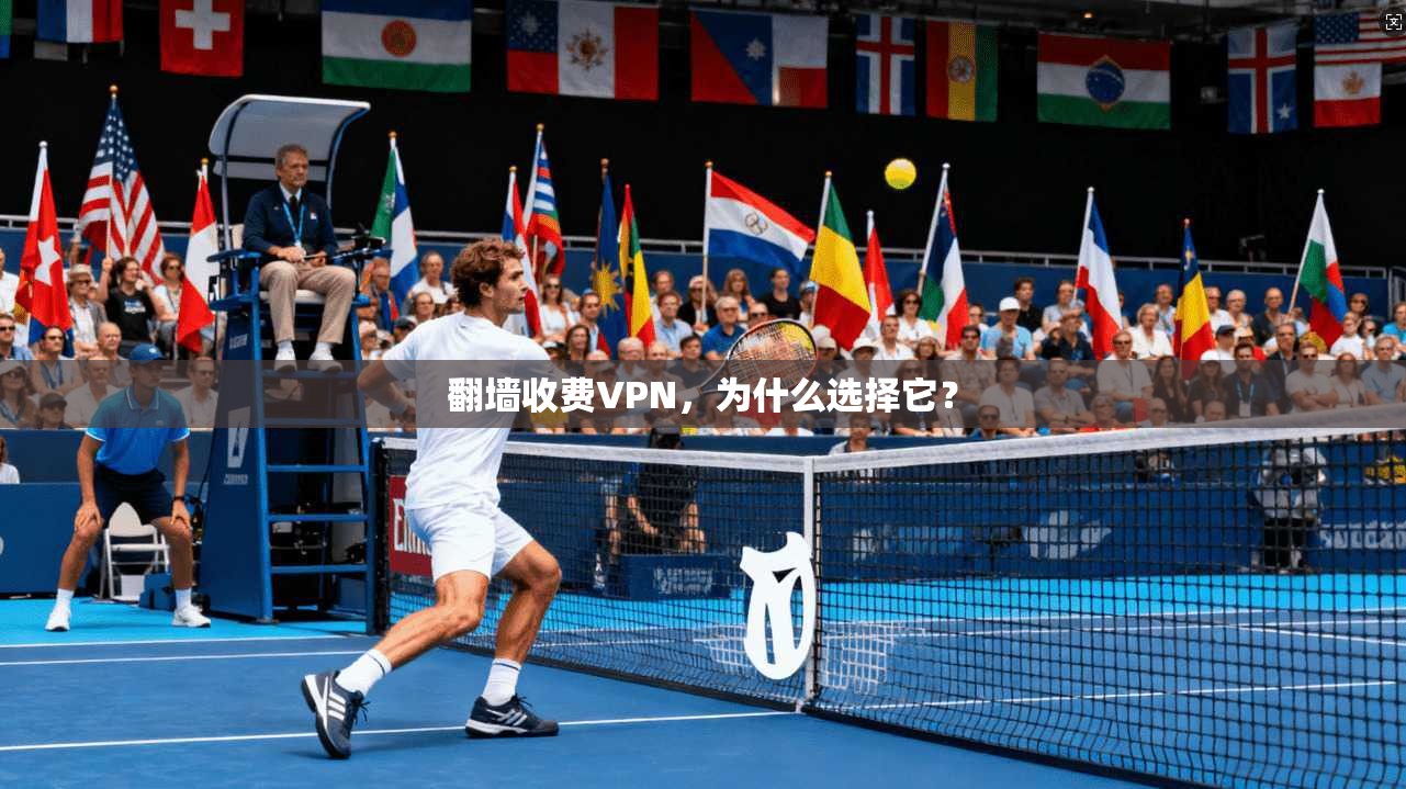 翻墙收费VPN，为什么选择它？