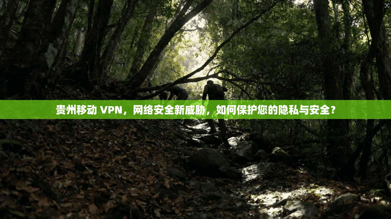 贵州移动 VPN，网络安全新威胁，如何保护您的隐私与安全？