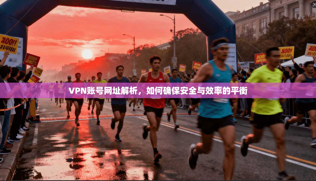 VPN账号网址解析，如何确保安全与效率的平衡