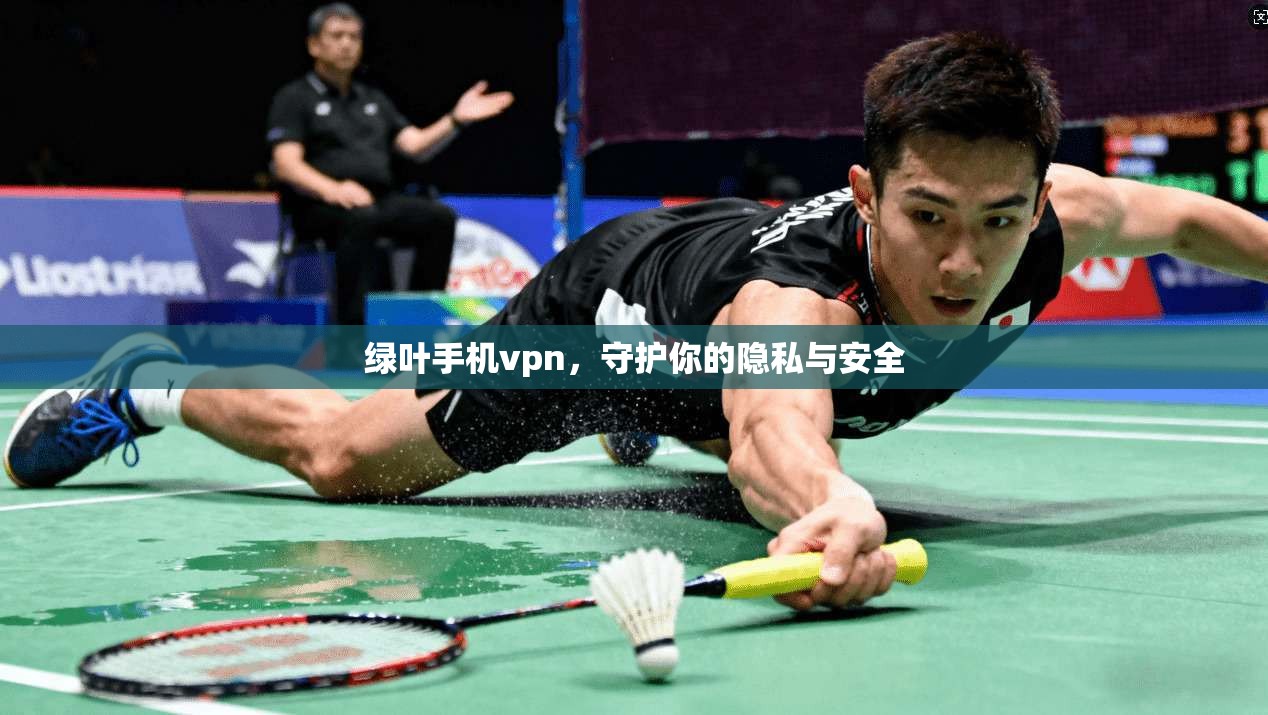 绿叶手机vpn，守护你的隐私与安全