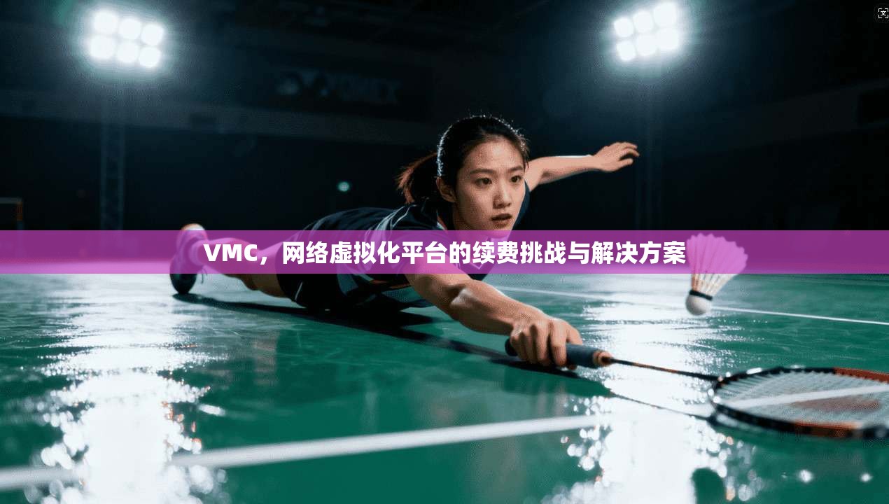 VMC，网络虚拟化平台的续费挑战与解决方案