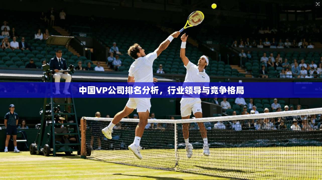中国VP公司排名分析,行业领导与竞争格局