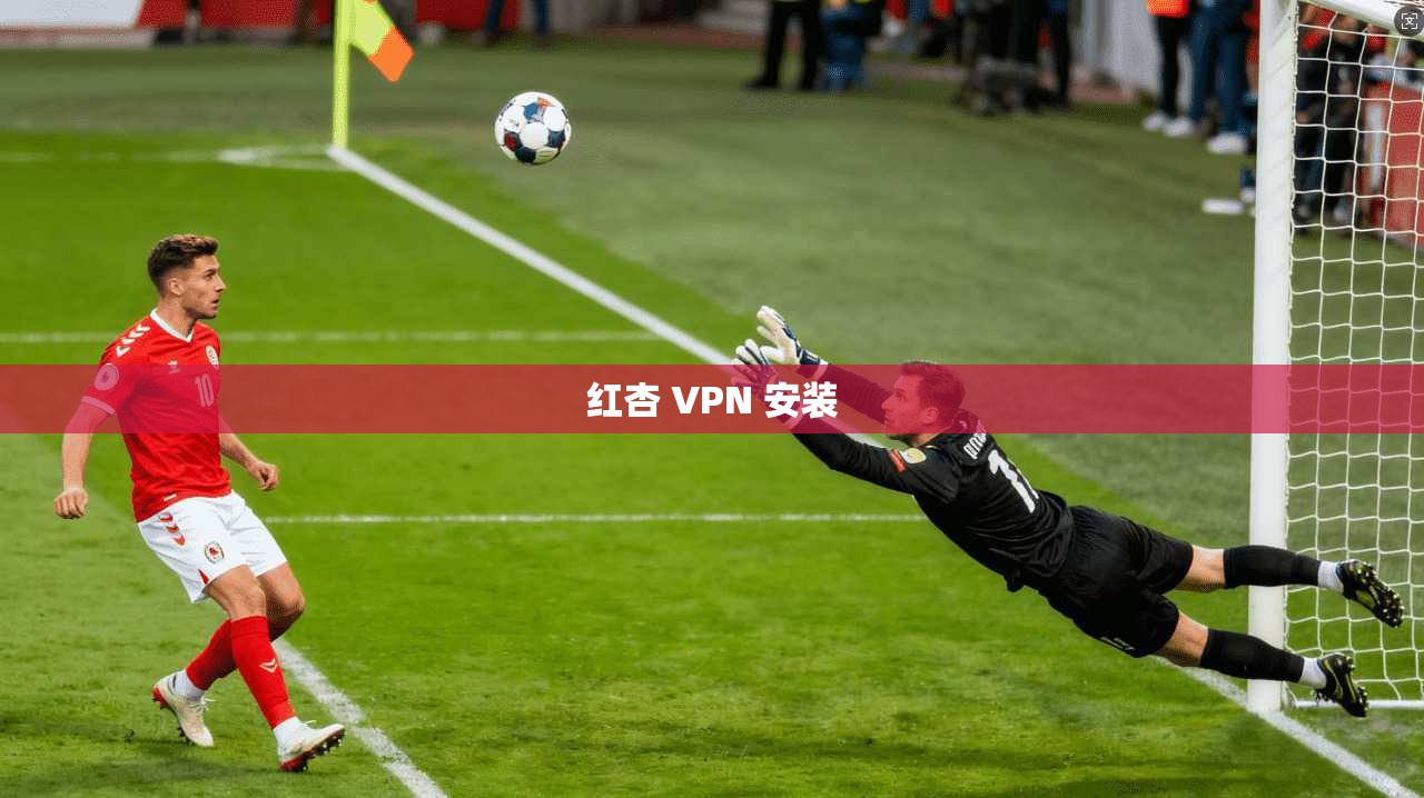 红杏 VPN 安装