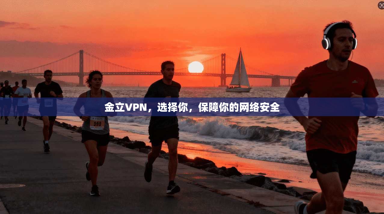 金立VPN,选择你,保障你的网络安全