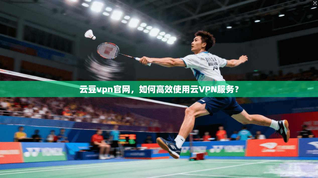 云豆vpn官网，如何高效使用云VPN服务？