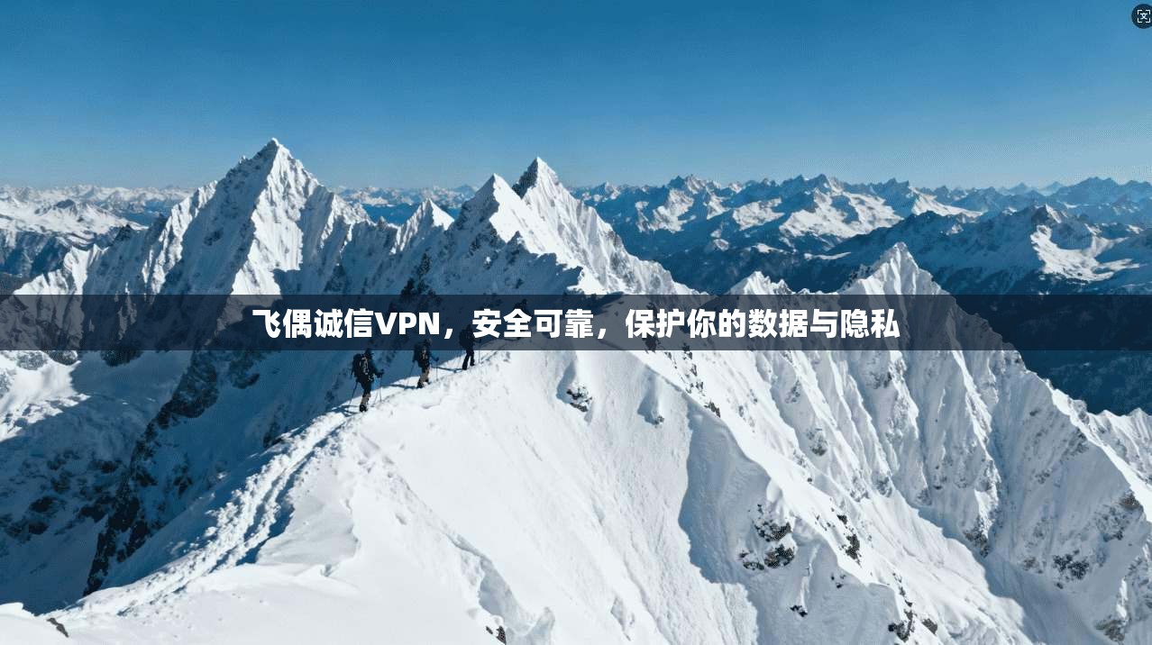 飞偶诚信VPN，安全可靠，保护你的数据与隐私