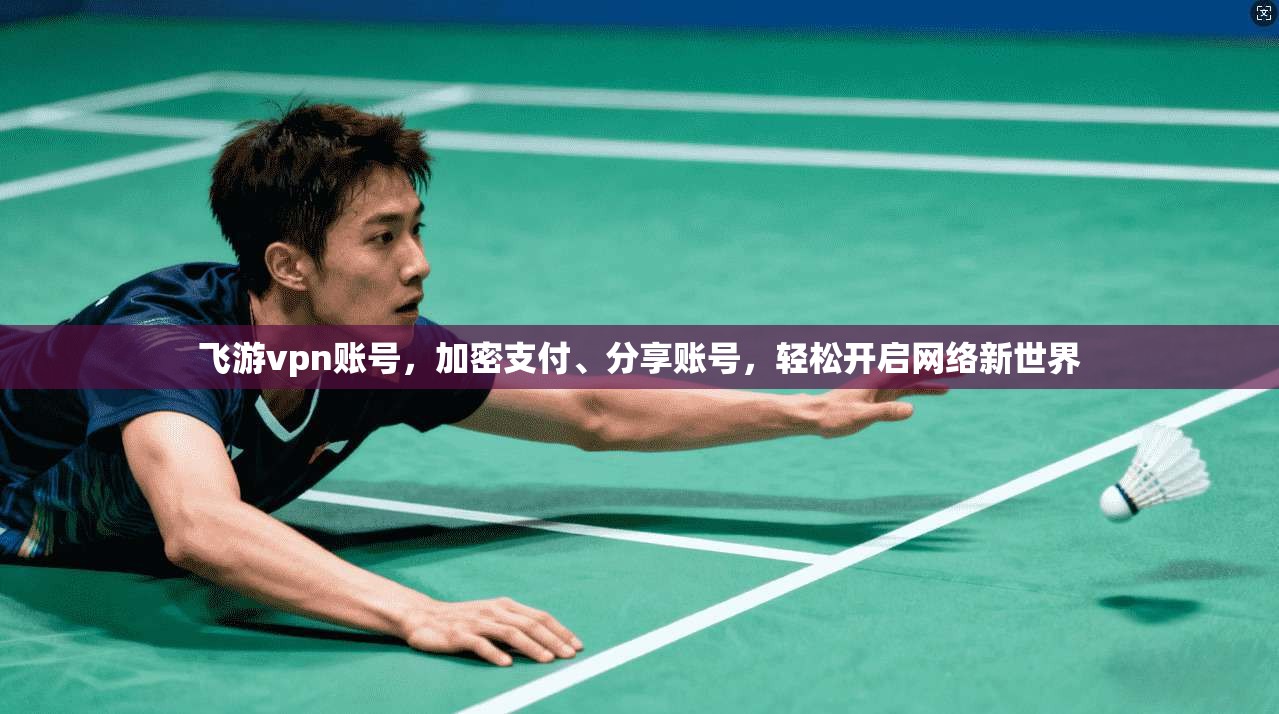 飞游vpn账号，加密支付、分享账号，轻松开启网络新世界