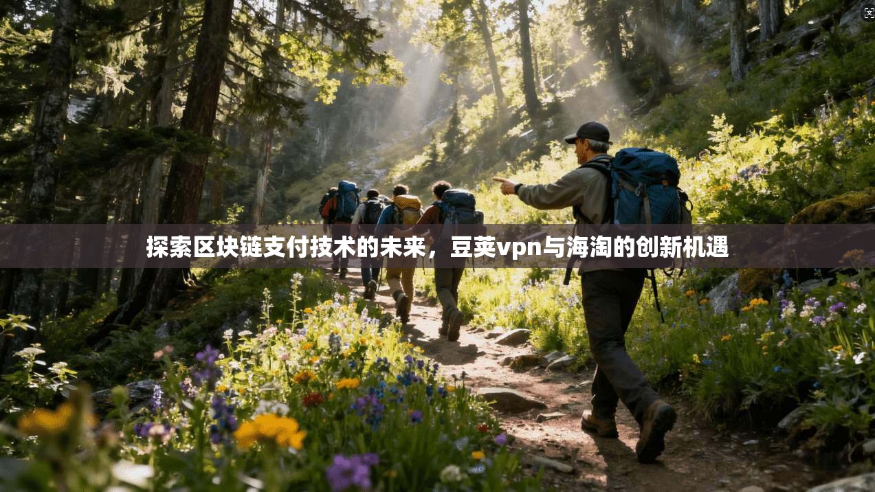 探索区块链支付技术的未来，豆荚vpn与海淘的创新机遇