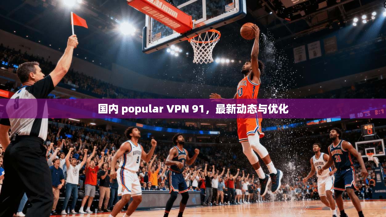 国内 popular VPN 91，最新动态与优化