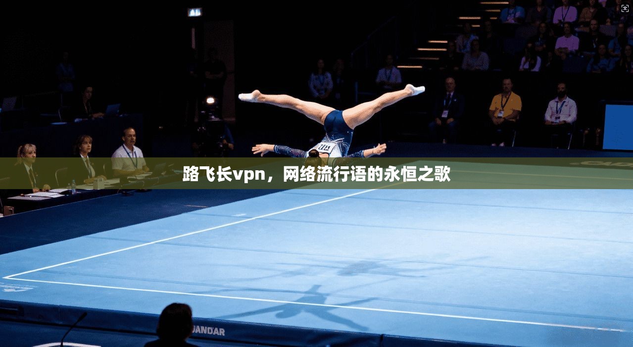 路飞长vpn,网络流行语的永恒之歌