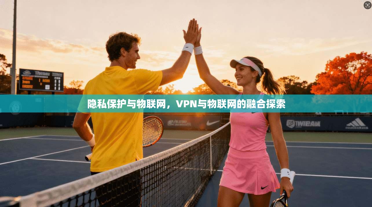 隐私保护与物联网，VPN与物联网的融合探索