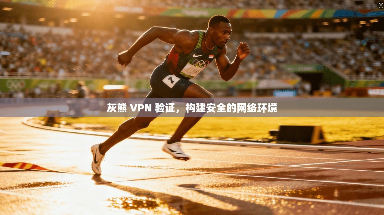 灰熊 VPN 验证，构建安全的网络环境