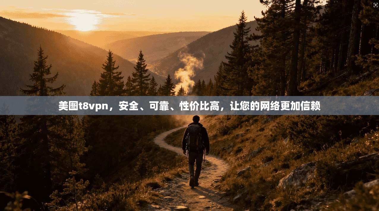 美图t8vpn，安全、可靠、性价比高，让您的网络更加信赖