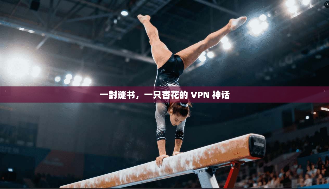 一封谜书，一只杏花的 VPN 神话