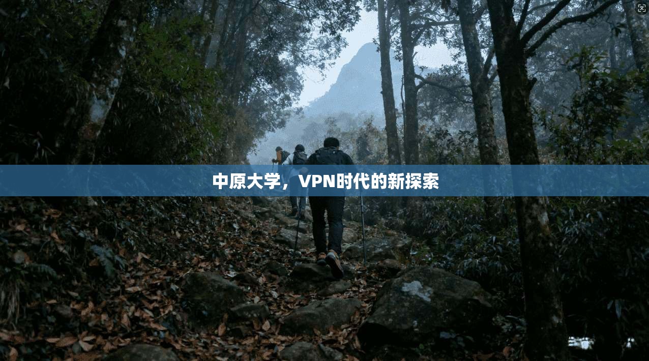 中原大学，VPN时代的新探索