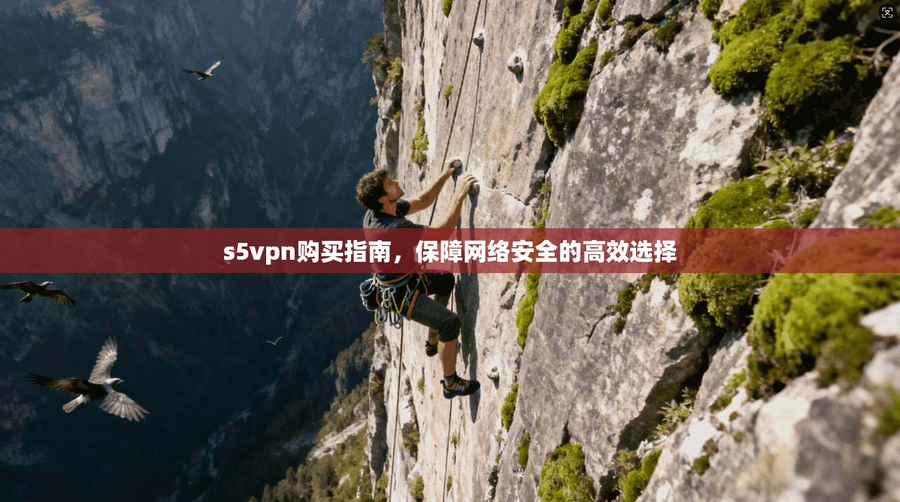 s5vpn购买指南，保障网络安全的高效选择