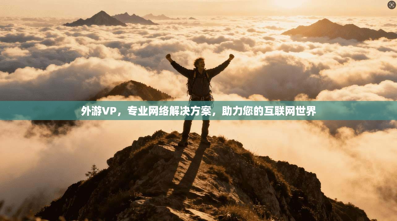 外游VP,专业网络解决方案,助力您的互联网世界