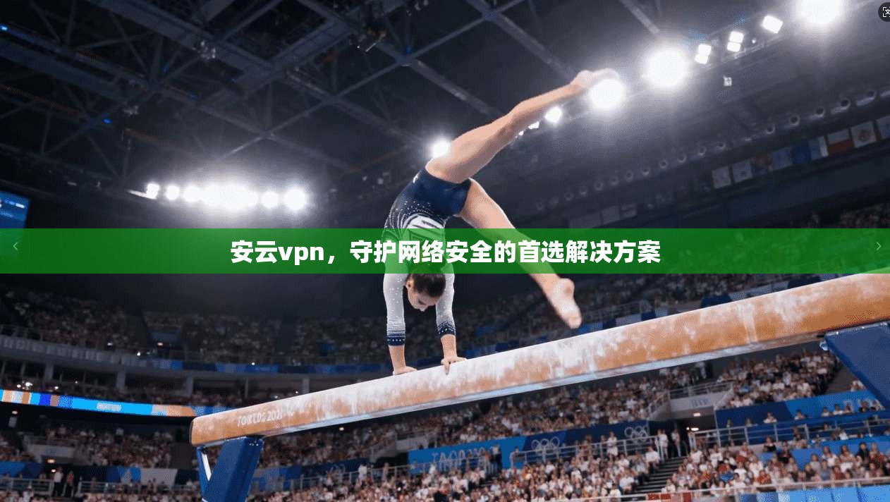 安云vpn,守护网络安全的首选解决方案