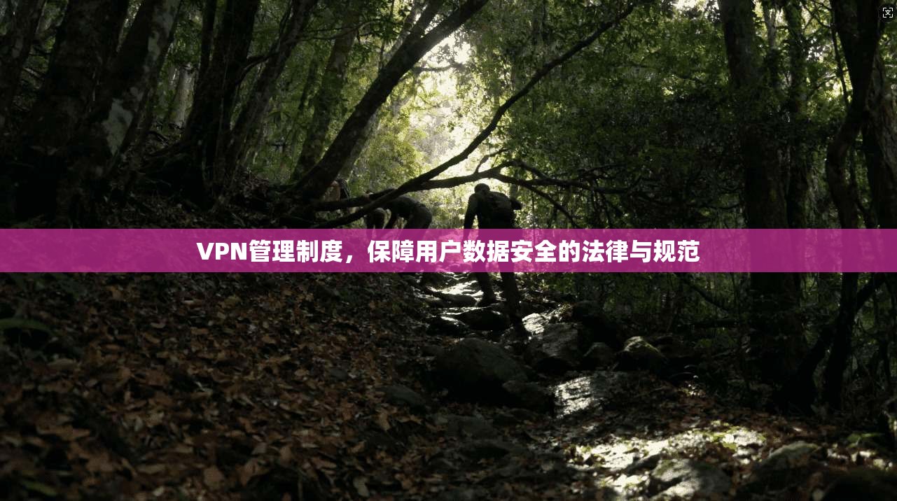 VPN管理制度，保障用户数据安全的法律与规范