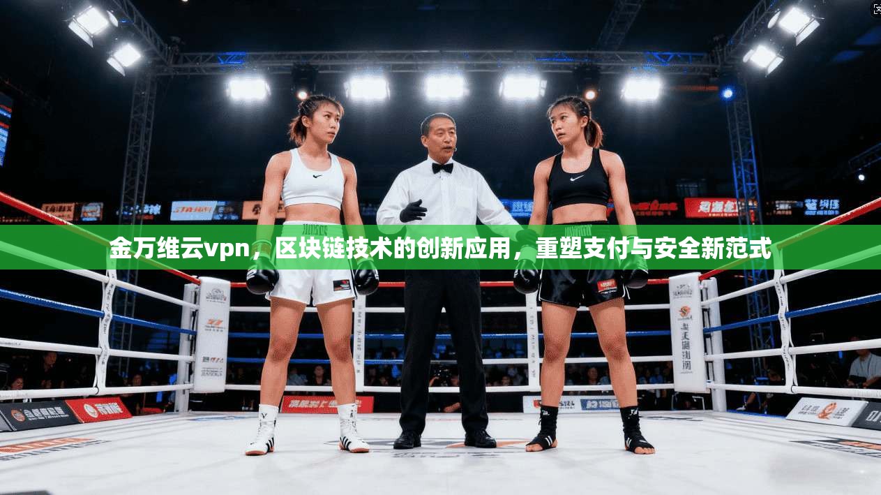 金万维云vpn，区块链技术的创新应用，重塑支付与安全新范式