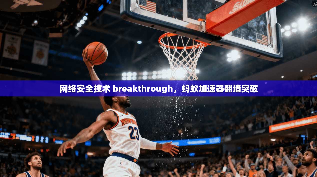 网络安全技术 breakthrough,蚂蚁加速器翻墙突破