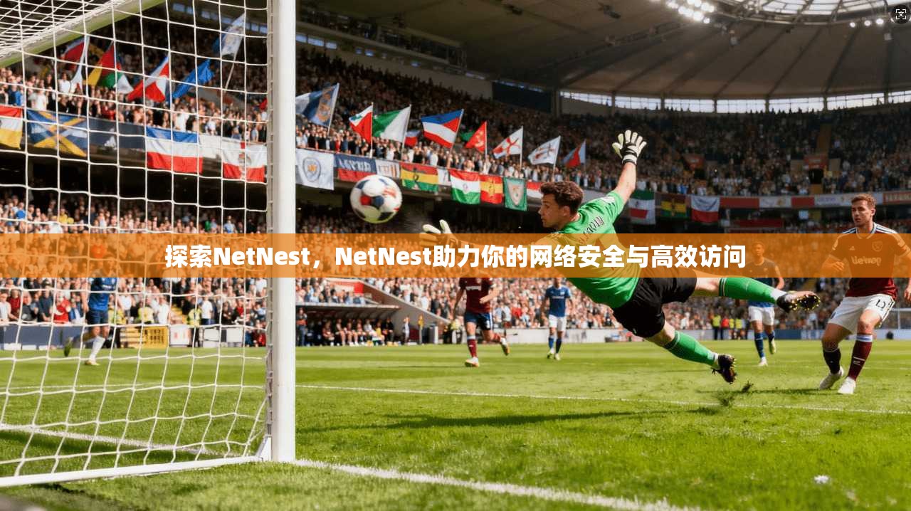 探索NetNest，NetNest助力你的网络安全与高效访问