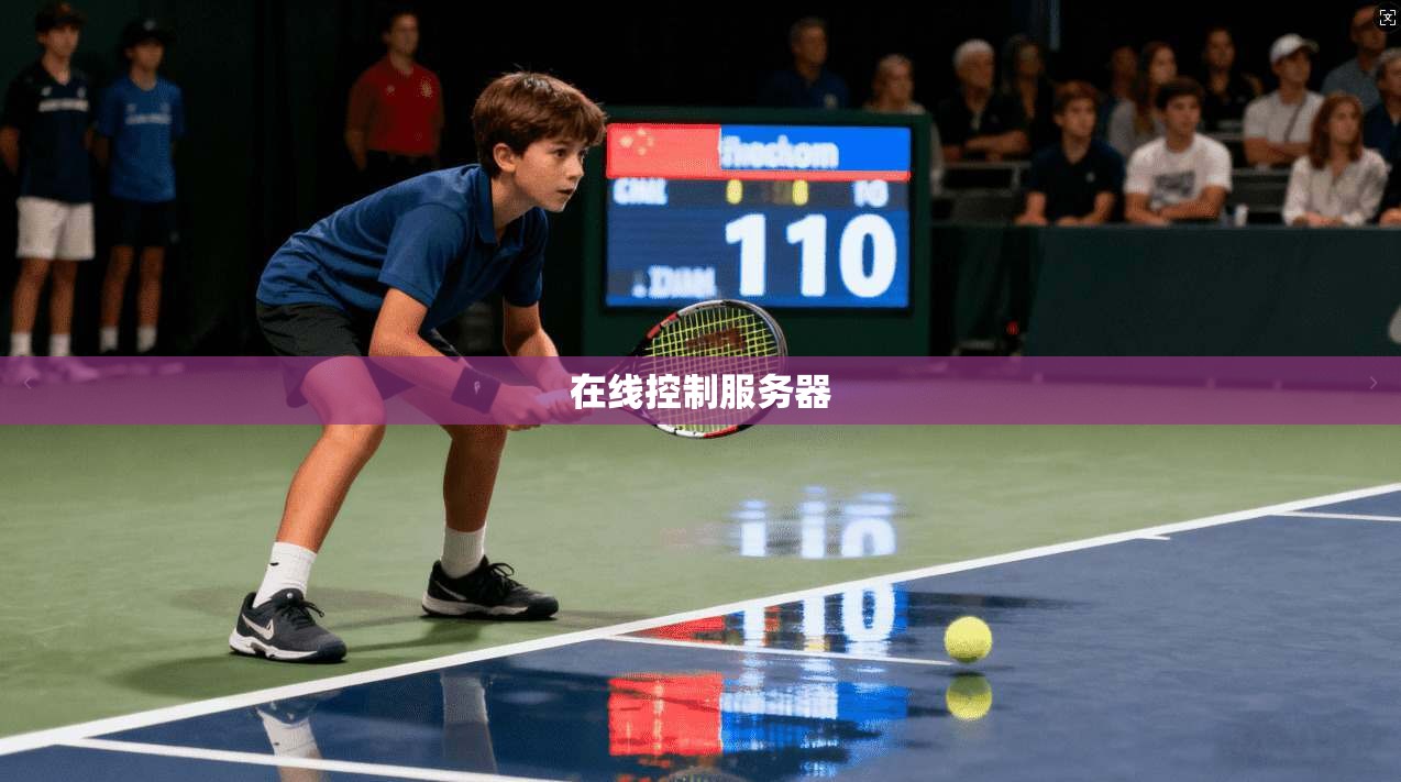 在线控制服务器