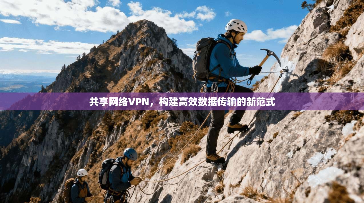 共享网络VPN，构建高效数据传输的新范式