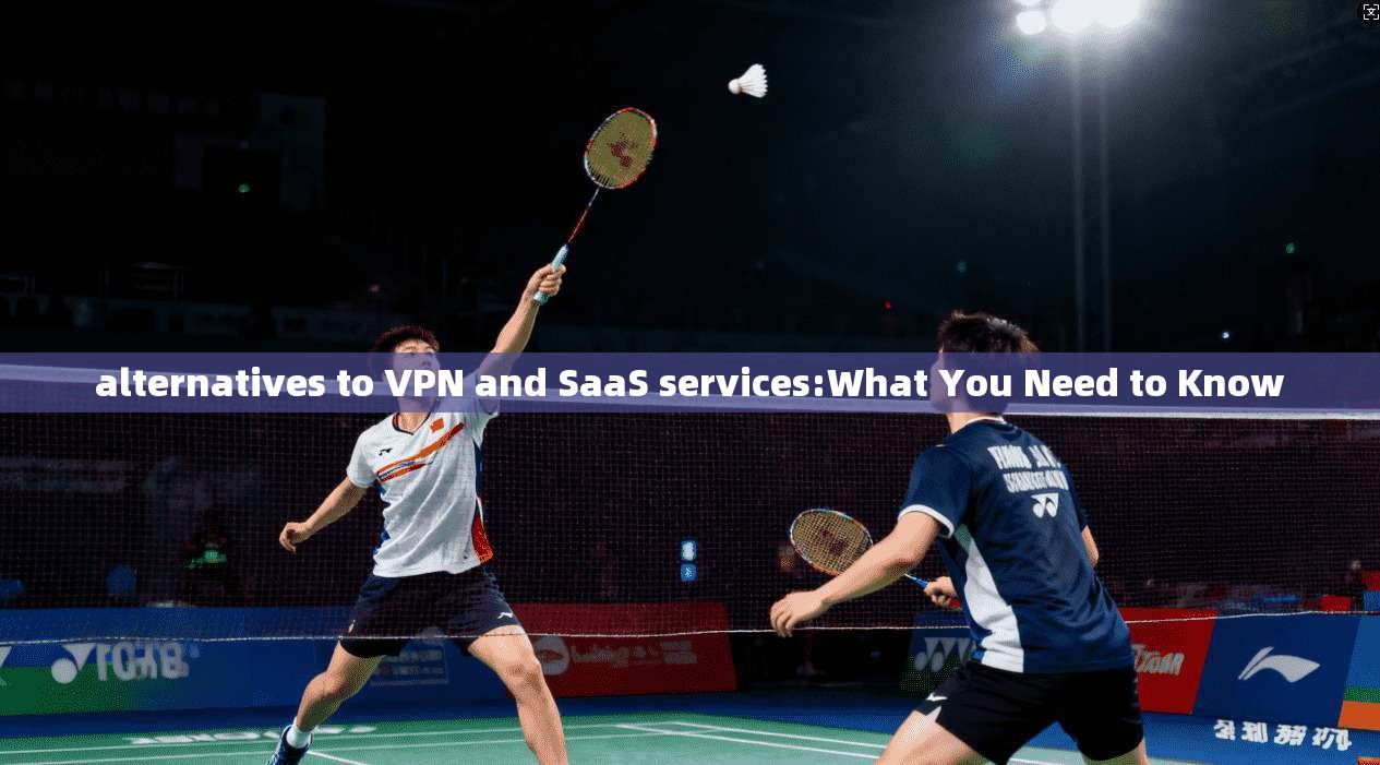 alternatives to VPN and SaaS services:What You Need to Know