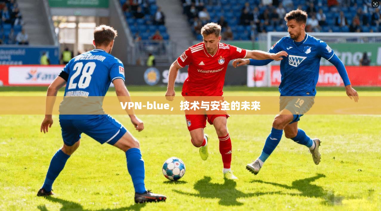 VPN-blue，技术与安全的未来