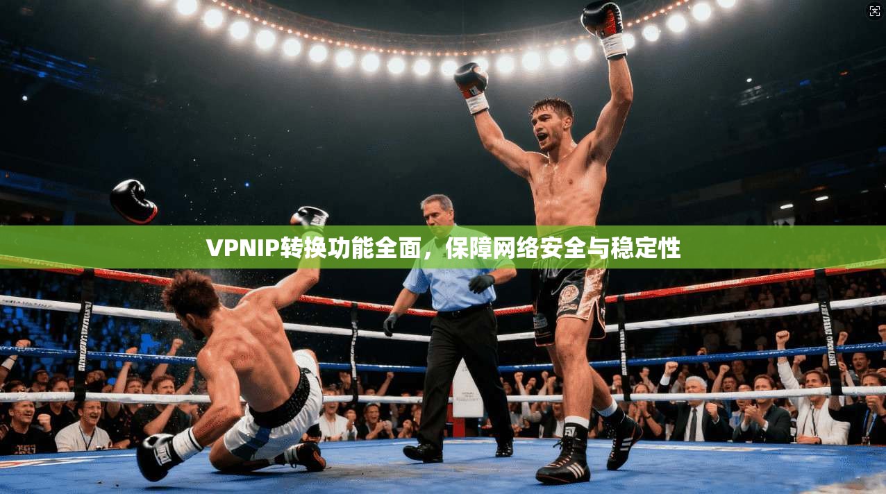 VPNIP转换功能全面，保障网络安全与稳定性